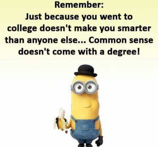 10 Cool Minion Memes For Every Minion Fan - picture 11