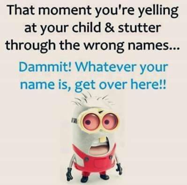 10 Cool Minion Memes For Every Minion Fan - picture 3