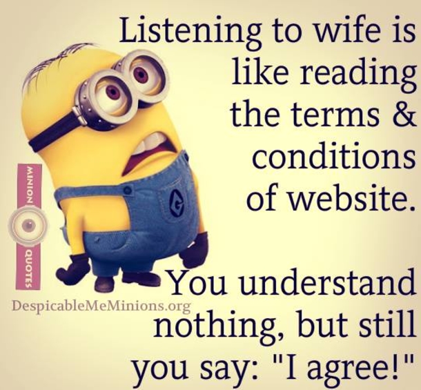 10 Cool Minion Memes For Every Minion Fan - picture 7