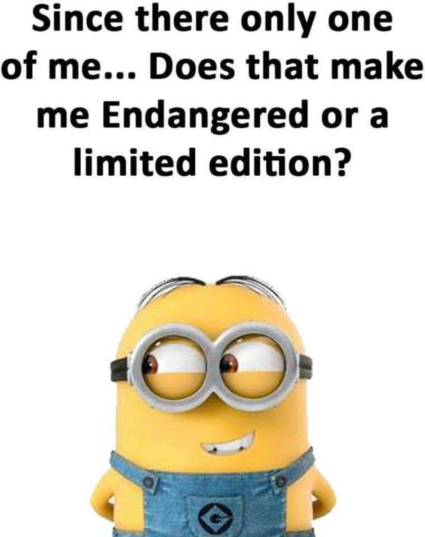 10 Cool Minion Memes For Every Minion Fan - picture 9