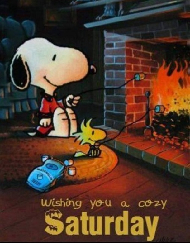10 Cool & Fun Saturday Quotes And Sayings - picture 12