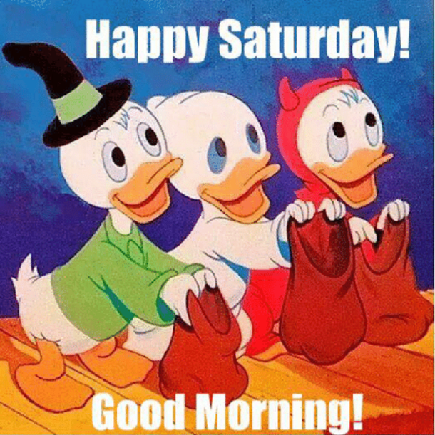10 Cool & Fun Saturday Quotes And Sayings - picture 14