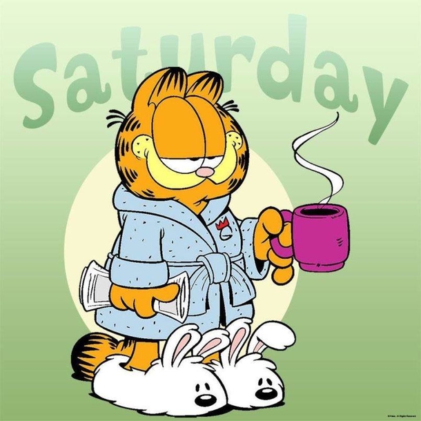 10 Cool & Fun Saturday Quotes And Sayings - picture 16