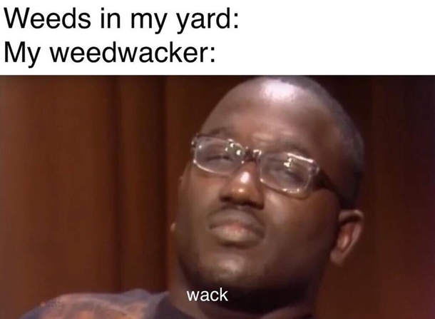 10 Crazy Wacky Memes - picture 3