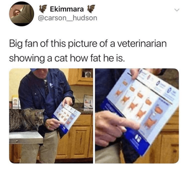10 Crazy Wacky Memes - picture 6