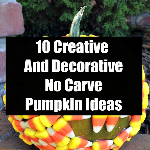 10 Creative And Decorative No Carve Pumpkin Ideas