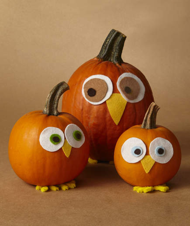10 Creative And Decorative No Carve Pumpkin Ideas - picture 11