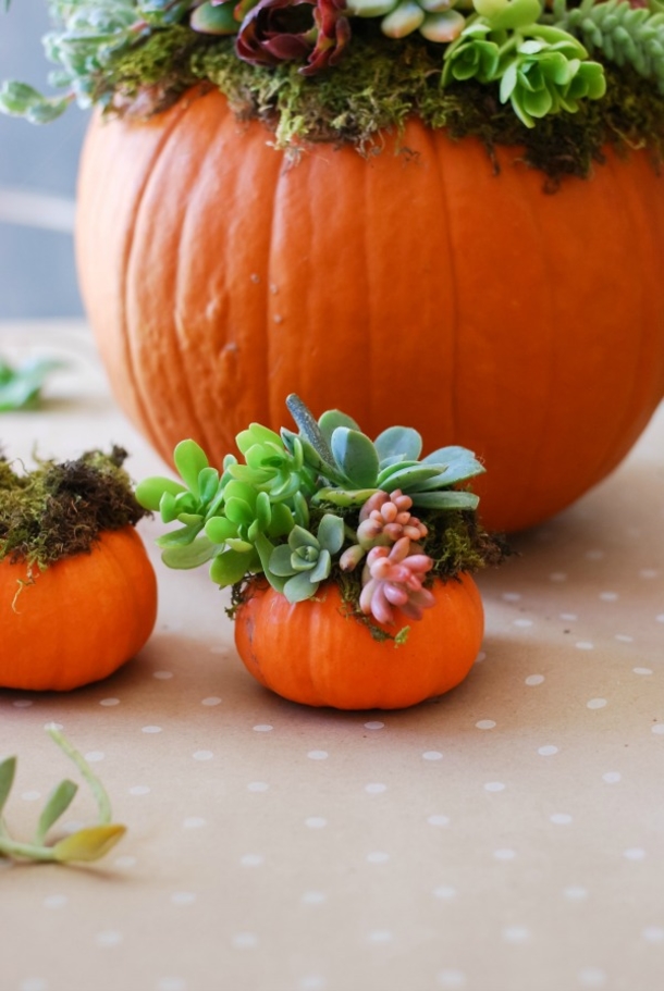 10 Creative And Decorative No Carve Pumpkin Ideas - picture 2