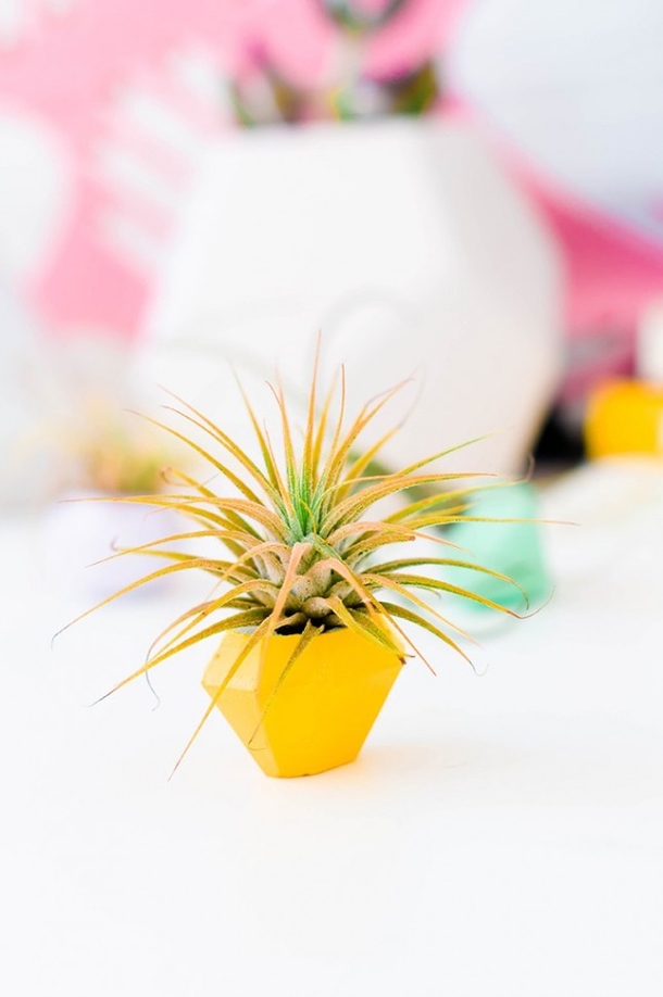 10 Creative Spring Party Favors To Spruce Up Any Event - picture 10