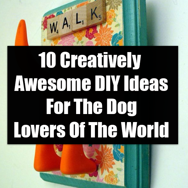 10 Creatively Awesome DIY Ideas For The Dog Lovers Of The World