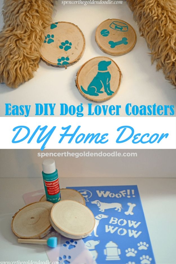 10 Creatively Awesome DIY Ideas For The Dog Lovers Of The World - picture 7