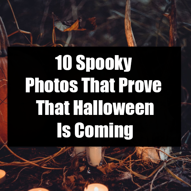 10 Creepy Photos That Prove That Halloween Is Coming