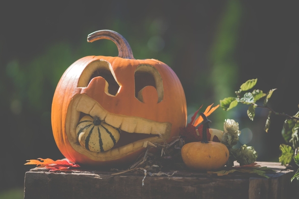 10 Creepy Photos That Prove That Halloween Is Coming - picture 11