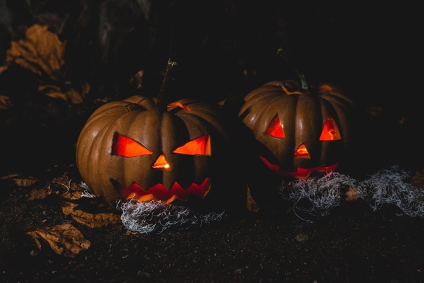 10 Creepy Photos That Prove That Halloween Is Coming - picture 6