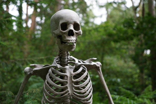 10 Creepy Photos That Prove That Halloween Is Coming - picture 9