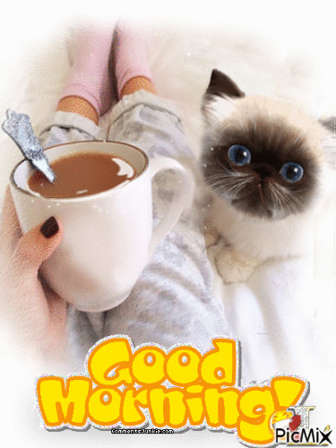 10 Cute Daily Morning Images, Quotes And Gifs - picture 4