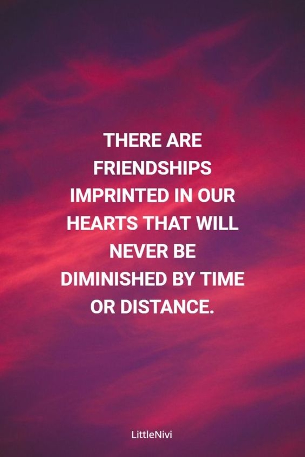 10 Cute Friendship Quotes That Will Warm Your Heart - picture 9