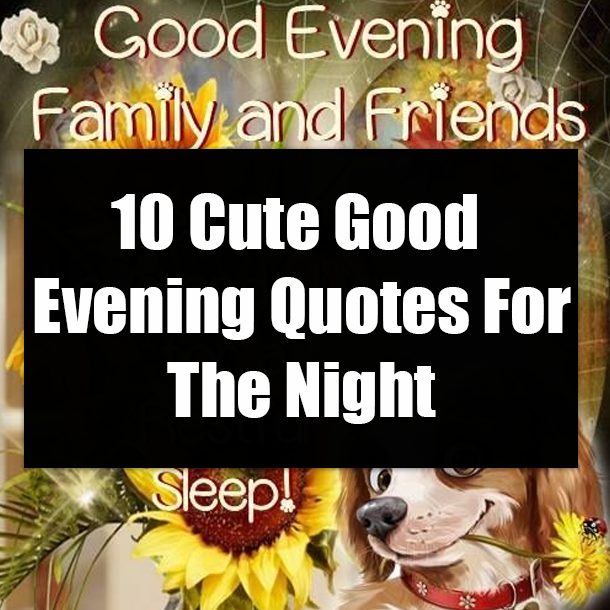10 Cute Good Evening Quotes For The Night