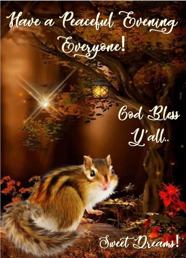 10 Cute Good Evening Quotes For The Night - picture 10