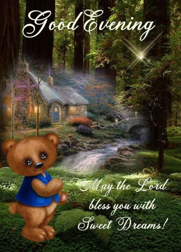 10 Cute Good Evening Quotes For The Night - picture 11