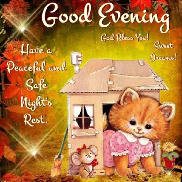 10 Cute Good Evening Quotes For The Night - picture 2