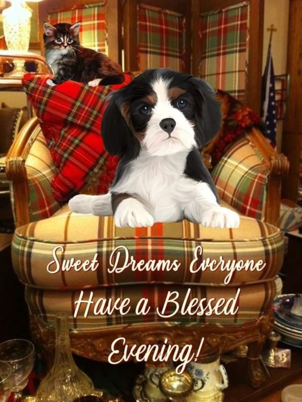 10 Cute Good Evening Quotes For The Night - picture 6