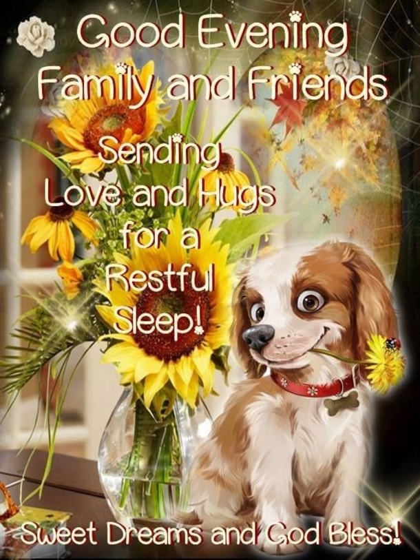 10 Cute Good Evening Quotes For The Night - picture 7