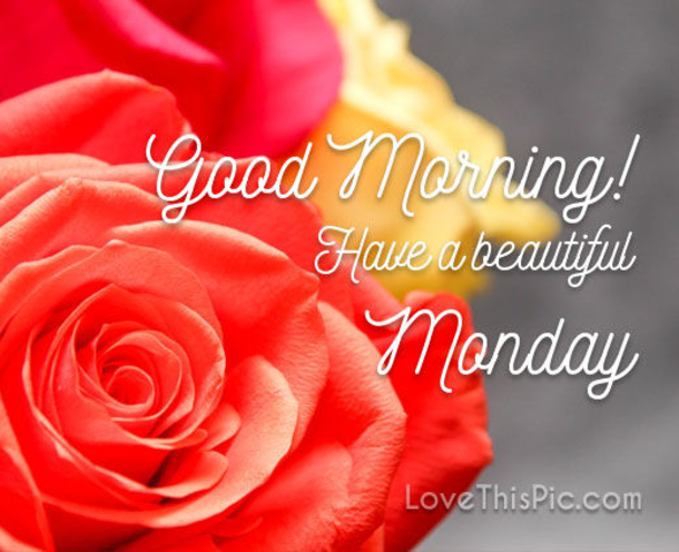 10 Cute Good Morning Messages To Brighten Your Day - picture 11