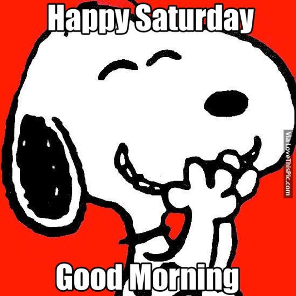10 Cute Good Morning Saturday Images - picture 4