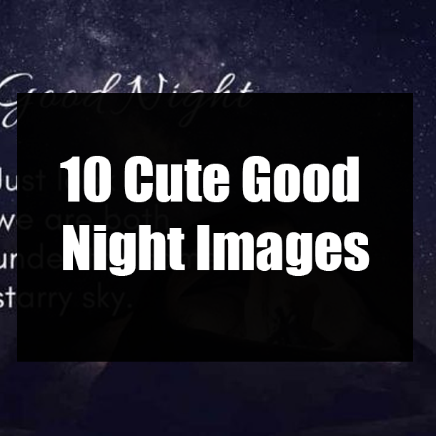 10 Cute Good Night Images