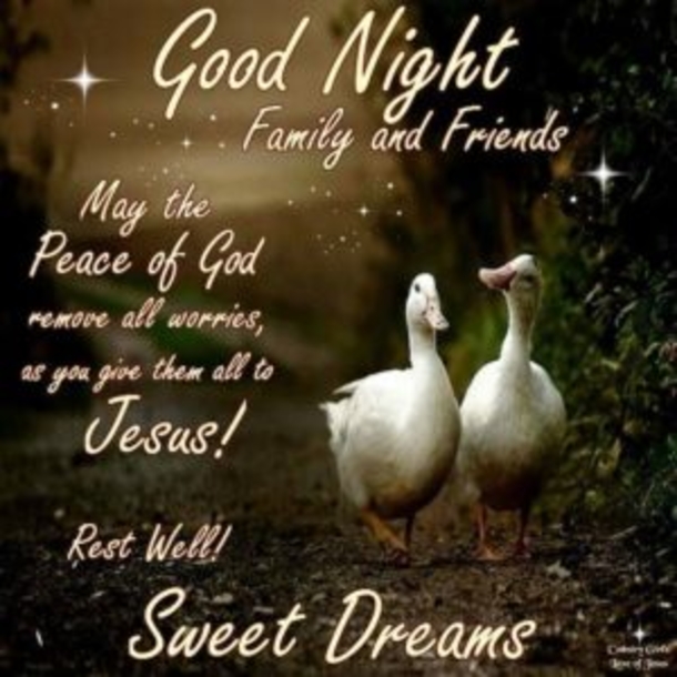 10 Cute Good Night Images - picture 6
