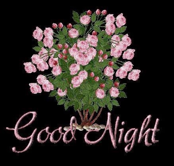 10 Cute Good Night Quotes, Sayings And Gifs - picture 5