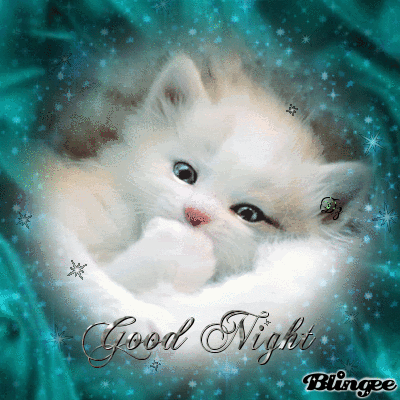 10 Cute Good Night Quotes, Sayings And Gifs - picture 9