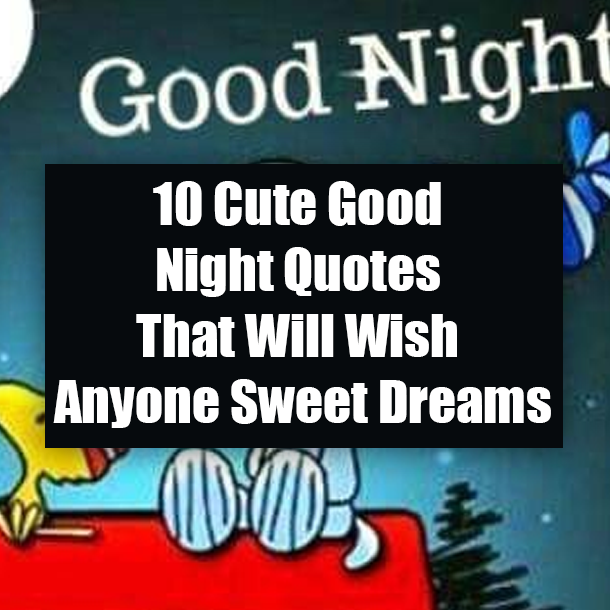 10 Cute Good Night Quotes That Will Wish Anyone Sweet Dreams