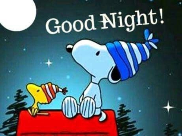 10 Cute Good Night Quotes That Will Wish Anyone Sweet Dreams - picture 10