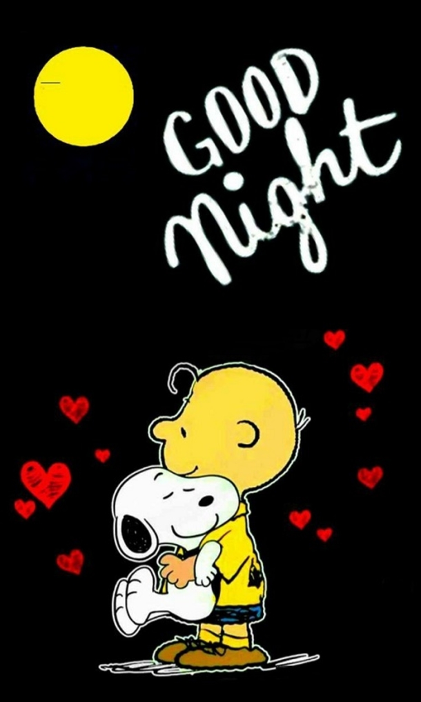 10 Cute Good Night Quotes That Will Wish Anyone Sweet Dreams - picture 2