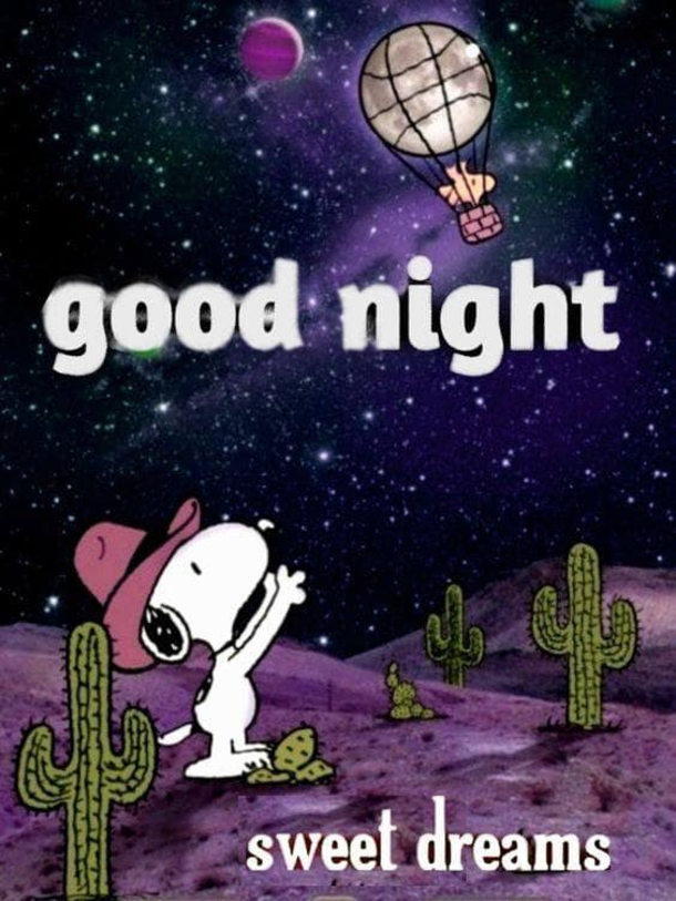 10 Cute Good Night Quotes That Will Wish Anyone Sweet Dreams - picture 7