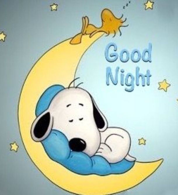 10 Cute Good Night Quotes That Will Wish Anyone Sweet Dreams - picture 9