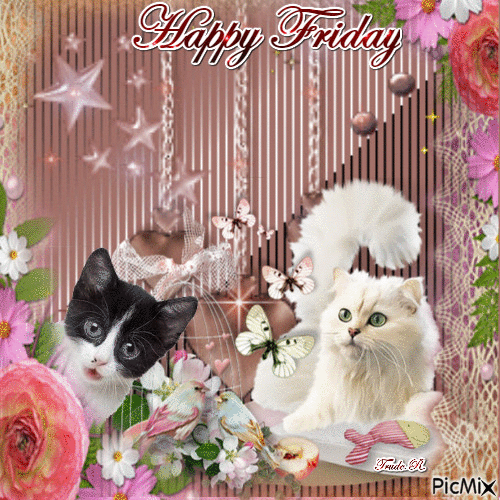 10 Cute Happy Friday Quotes For You - picture 9