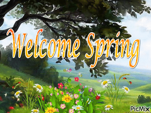 10 Cute Happy Spring Gifs For 2023 To Bring In The Warm Season - picture 10