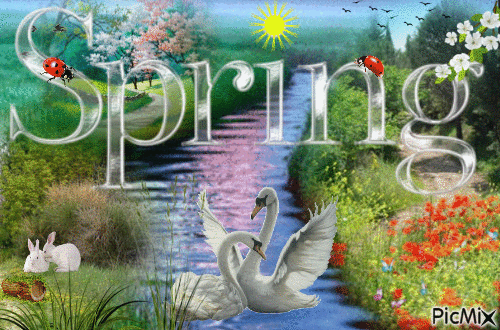 10 Cute Happy Spring Gifs For 2023 To Bring In The Warm Season - picture 8