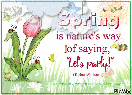 10 Cute Happy Spring Gifs For 2023 To Bring In The Warm Season - picture 9