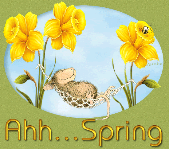 10 Cute Happy Spring Images With Quotes - picture 8