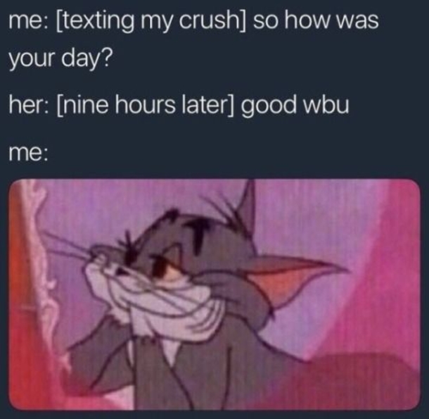 10 Cute Memes About The Crush You're In Love With - picture 11