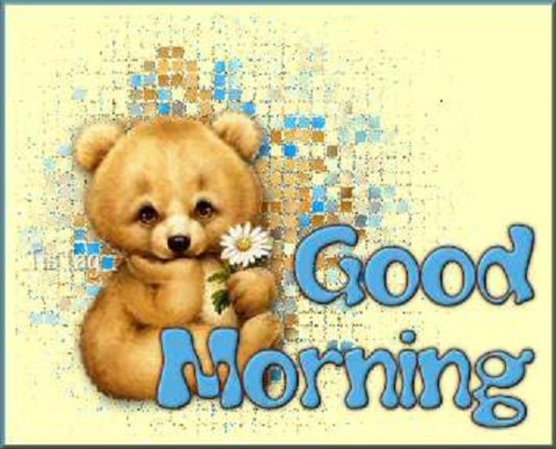 10+ Cute Morning Quotes And Images To Brighten Your Day - picture 12