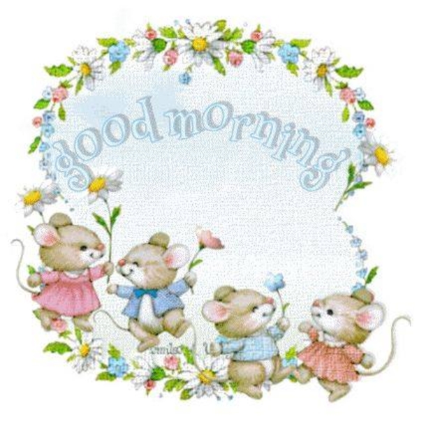10+ Cute Morning Quotes And Images To Brighten Your Day - picture 8