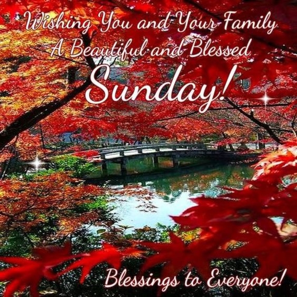 10 Cute Sunday Images With Quotes - picture 10