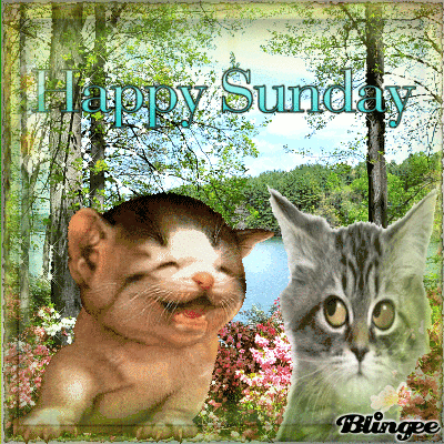 10 Cute Sunday Images With Quotes - picture 4