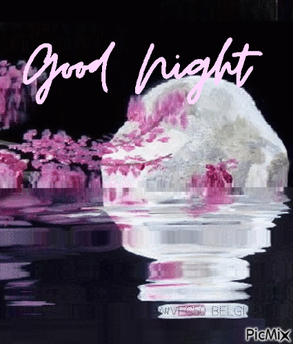10+ Cute & Beautiful Good Night Gifs To Make Your Night Perfect - picture 14