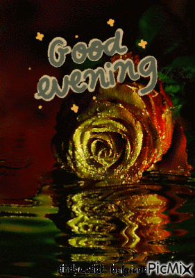 10+ Cute & Beautiful Good Night Gifs To Make Your Night Perfect - picture 5